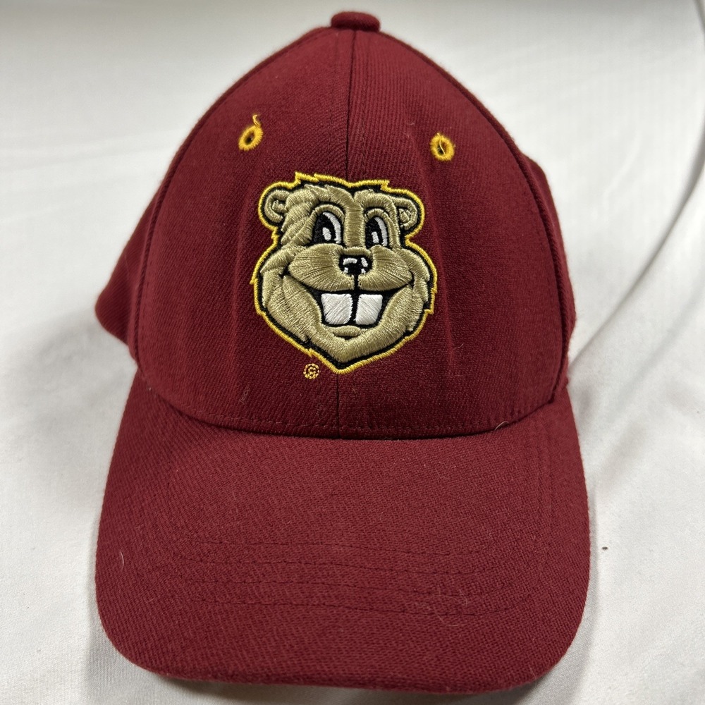 Vintage Minnesota Golden Gophers Zephyr Team Z Stretch Fit Hat Y2K NCAA Child